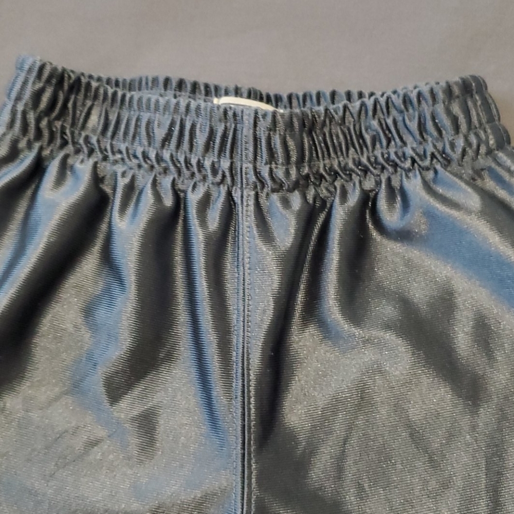 Silver Shorts - Picture 3 of 7